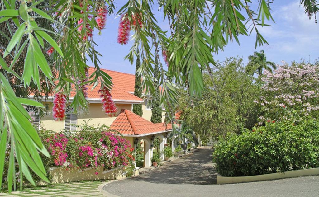مونتيغو باي Polkerris Bed & Breakfast المظهر الخارجي الصورة